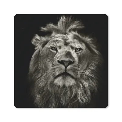 Produktbild von MuchoWow® Mauspad Mousepad Löwe - Tiere - Porträt - Wildtiere - Schwarz und weiß 30x30 cm - Mousepads - Maus Mat - Pad - Mausunterlage - Gaming