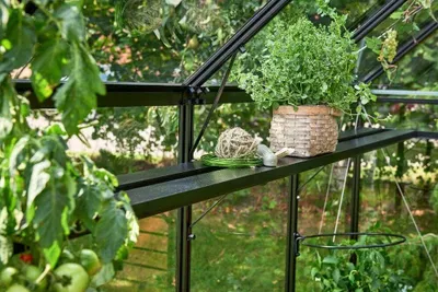 Produktbild von Juliana integriertes Lamellenregal für 6 Gewächshaus-Sektionen (1 Sektion entspricht der Breite einer Seitenscheibe)