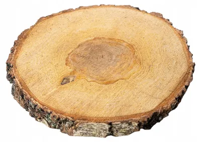 Produktbild von Aliga Holzscheibe Naturholz Dekoration 20-24 cm