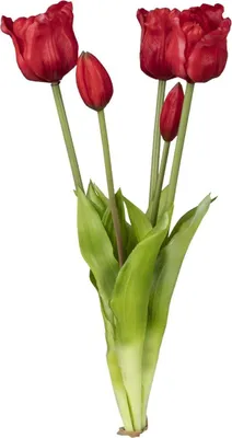 Produktbild von künstliches Tulpenbündel rot H. 44cm Kunststoff Formano Kunstblumen F25