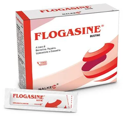 Productafbeelding van FLOGASINE 20 sacheuten