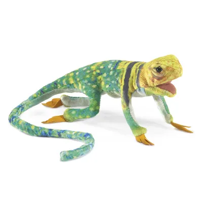 Produktbild von Folkmanis Fingerpuppe Mini Eidechse / Mini Collared Lizard 2798