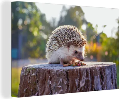 Produktbild von OneMillionCanvasses® - Leinwandbilder - 140x90 cm, Essender Igel, Wandbilder Kunstdruck Wanddekoration