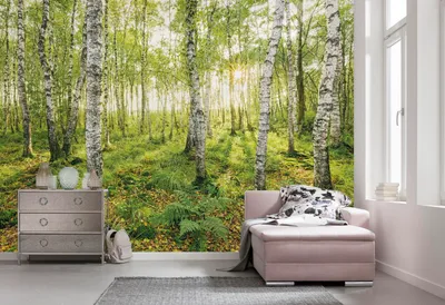 Produktbild von Komar Vlies Fototapete - Birch Trees - Größe: 400 x 250 cm (Breite x Höhe) - 4 Bahnen, Wohnzimmer, Schlafzimmer, Tapete