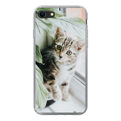 Produktbild von MuchoWow® Handyhülle Schutzhülle Hülle für iPhone 8 Katze - Kätzchen - Pflanzen Silikon Softcase Handy Hülle - Schutzhaube