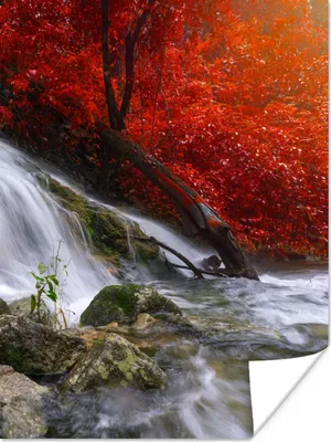 Produktbild von MuchoWow® Poster Wasserfall - Felsen - Wasser - Herbst 120x160 cm - Wandbilder