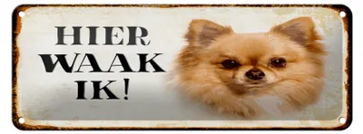 Produktbild von Blechschild Spruch 27x10 cm holländisch Hier Waak ik Chihuahua Dekoration