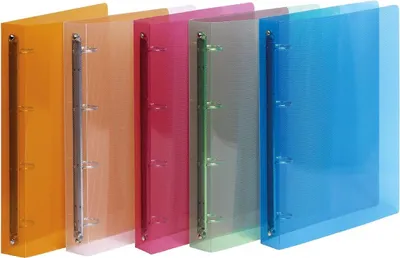 Immagine prodotto di Favorit 400066845 raccoglitore ad anelli A4 Multicolore
