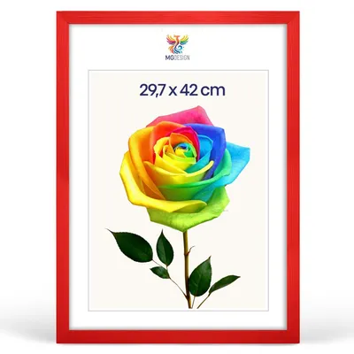 Produktbild von MG Design Bilderrahmen Rot A3 29,7x42 cm - Posterrahmen Echtholz mit Acrylglas, stabile Wandaufhängung, hoch/quer