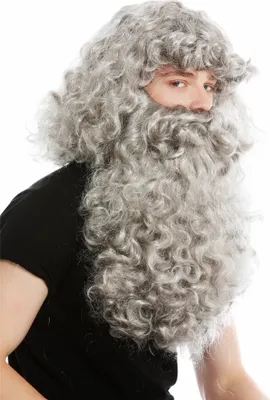 Produktbild von WIG ME UP Perücke Bart Prophet Zauberer Grau 46-A+B-ZA68R