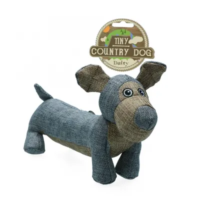 Image de Chien de campagne Tiny Daisy