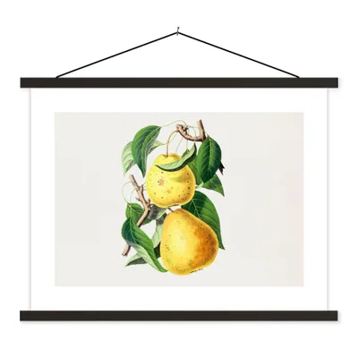 Produktbild von MuchoWow® Textilposter Birnen - Pflanze - Lebensmittel 40x30 cm mit schwarzem Rahmen - Dekorationen