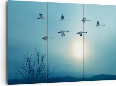 Produktbild von Bild auf Leinwand - Leinwandbild - Storch Vogel Natur - 165x110cm - Wand Bild - Wanddeko - Leinwanddruck - Bilder - Kunstdruck - Wanddekoration - Leinwand bilder - Wandkunst - CE165x110-3802
