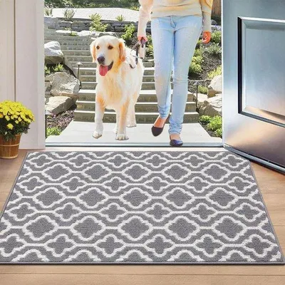 Produktbild von Famanu Fußmatte 80 x 120 cm - Antirutsch - Waschbar - Innen und Außen - Grau