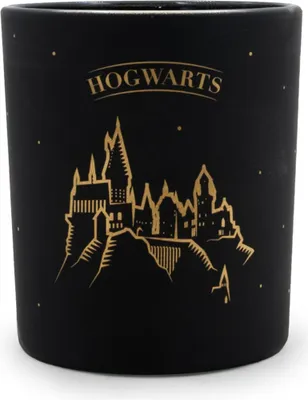 Produktbild von Harry Potter™ Duftkerze Hogwarts Black, HxBxT: 8,3x7,4x7,4 cm, Glas, Paraffinwachs, Geschenkkerze im Hogwarts Design