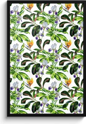 Produktbild von MuchoWow® MuchoWow® Gerahmtes Poster Paradiesvogelpflanze - Blätter - Muster 60x90 cm - Poster mit zchwarzem Bilderrahmen - Kunst