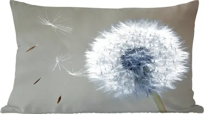 Produktbild von MuchoWow® Zierkissen Sofakissen Wohnzimmer Dekokissen 60x40 cm Löwenzahn - Blume - Pflanze - Kopfkissen - Polster mit Foto