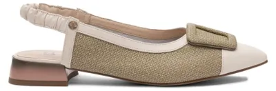 Image de Maciejka Chaussures K746612001