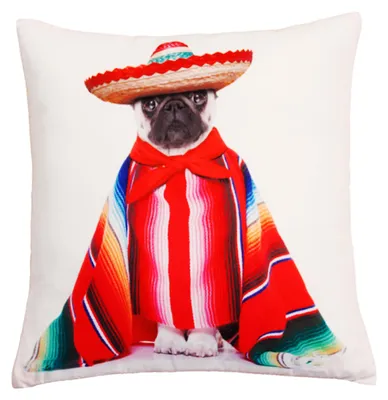 Produktbild von Kissenbezug Fotodruck Kissenhülle 30x30 cm Hund Poncho Kissenhülle Kopfkissen