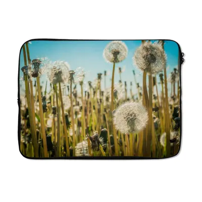 Produktbild von MuchoWow® Laptop Hülle 14 ZollBlumen - Löwenzahn - Gras Laptoptasche - Laptoptasche - Stoßsicher - Schutzhaube