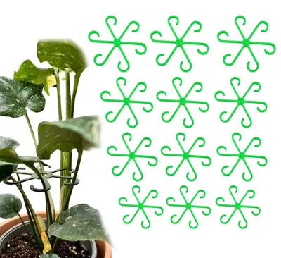 Imagen del producto de TRANKIELO® - 12 soportes para plantas - Ayuda biodegradable para plantas - Estabilidad para plantas perennes