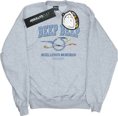 Produktbild von Looney Tunes - "Beep Beep" Sweatshirt für Herren BI33401 (XXL) (Grau)