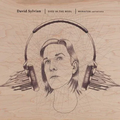 Immagine prodotto di David Sylvian - Died In The Wool | Manafon Variations (Ristampa) (2 LP)
