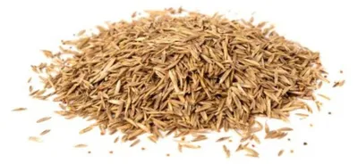 Produktbild von Rasensamen Sport- und Spielrasen 1kg