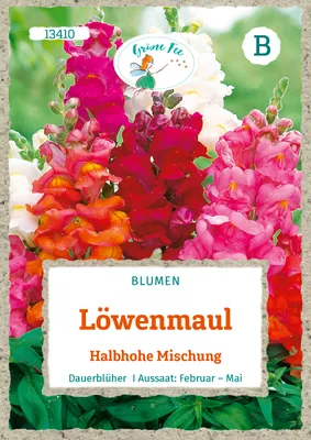 Produktbild von Grüne Fee - Löwenmaul Halbhohe Mischung Samen - 13410