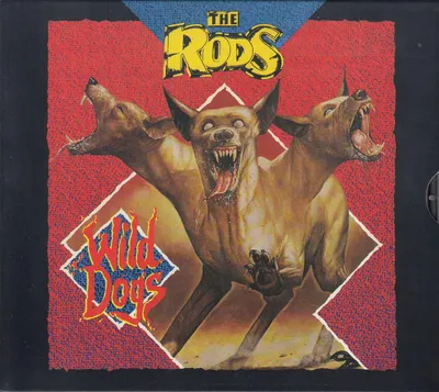 Produktbild von Wild Dogs