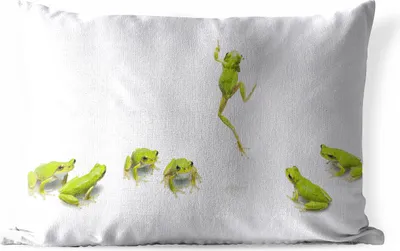 Produktbild von MuchoWow® Outdoor Kissen - Frosch - Tiere - Grün - 60x40 cm - Wetterfest - Lounge Kissen - Zierkissen - Kissen für Innenräume