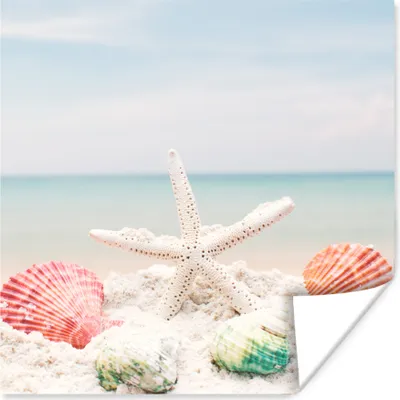 Produktbild von MuchoWow® Poster Muscheln - Seesterne - Strand 75x75 cm - Wand Dekoration