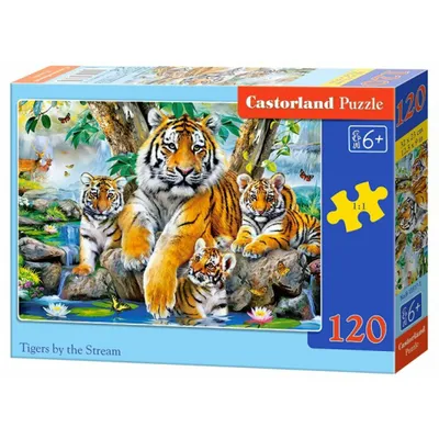 Produktbild von CASTORLAND Puzzle Tigers by the river 120 Teile
