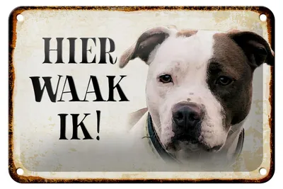 Produktbild von Blechschild Spruch 18x12cm holländisch Hier Waak ik American Pitbull Terrier