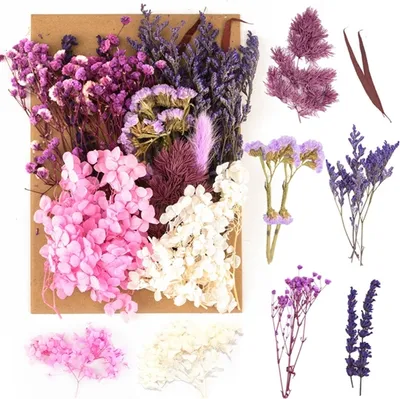 Produktbild von Natürliche Getrocknete Blumen, Trockenblumen Set, für DIY Gepresste Blumen, Scrapbooking, DIY-Kerze, Schmuckanhänger Basteln (lila)