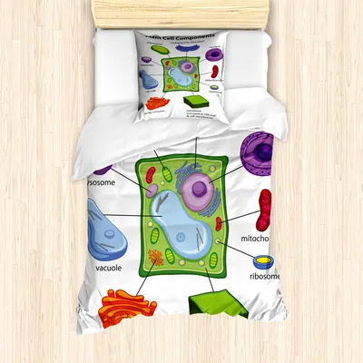Produktbild von ABAKUHAUS Lehrreich Mantele, Cartoon Wissenschaft, Milbensicher Allergiker geeignet mit Kissenbezügen, 135 cm x 200 cm - 80 x 80 cm, Mehrfarbig