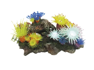 Produktbild von Nobby Aquariendekoration Aplysina mit Pflanzen mit LED