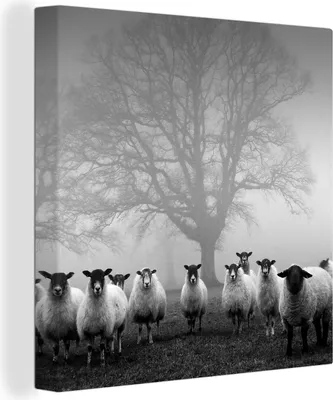 Produktbild von MuchoWow® - Leinwandbilder - Schafherde im Nebel - schwarz und weiß, Wandbild, Wanddeko Bilder Wohnzimmer, 90x90cm