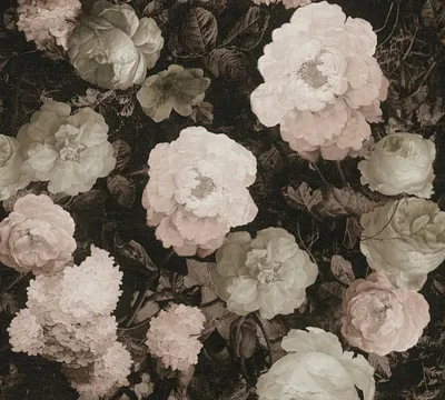 Produktbild von A.S. Création Rosentapete History of Art florale Tapete Vliestapete rosa rot grau 10,05 m x 0,53 m