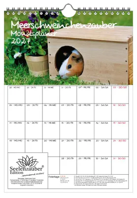 Produktbild von Meerschweinchenzauber Planer DIN A4 Kalender für 2027 Meerschweinchen - Seelenzauber