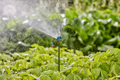 Produktbild von Gardena Verlängerungsrohr für Sprühdüsen MDS Inhalt: 5 Stück