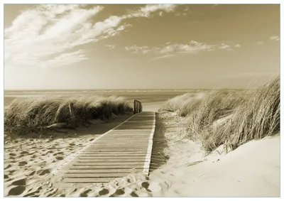 Produktbild von Wallario Premium Glasbild, freischwebende Optik, kräftige Farben, Größe 100 x 70 cm Motiv Auf dem Holzweg zum Strand in Sepiafarben