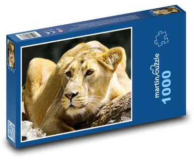 Obrázek produktu pro Puzzle 1000 Lev v divočině - martinpuzzle