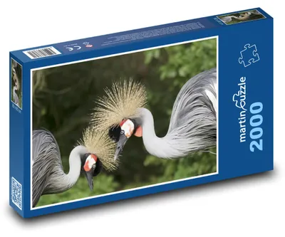 Produktbild von martinpuzzle - Puzzle 2000 Teile - Graukranich