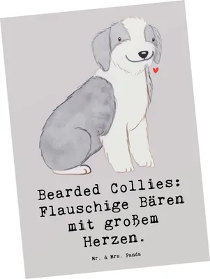 Produktbild von Mr. & Mrs. Panda Grußkarte Bearded Collie Bärenherz - Grau Pastell - Geschenk, Ansichtskarten, Postkarten, Hunderassen, Hunde, Energiegeladen, Aktivitäten, bildkarte