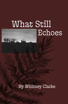 Produktbild von What Still Echoes
