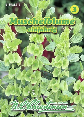 Produktbild von Muschelblume | Blumensamen von N.L. Chrestensen
