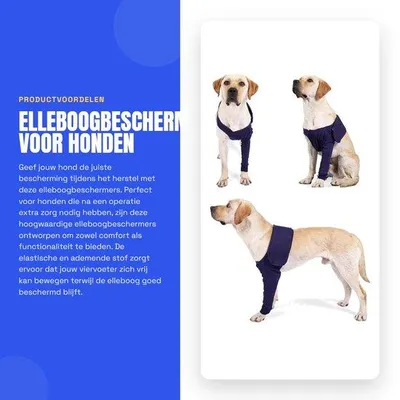Produktbild von Ellenbogenschützer, Größe XL – Atmungsaktiv – Elastisch