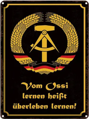 Produktbild von vianmo Blechschild 40x30 cm Ossi lernen heißt überleben Spruch Zitat