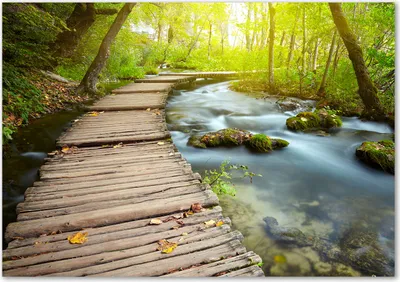 Produktbild von Tulup® Glas-Bild - 100 x 70 - Wandbild aus Glas - Wandkunst - Wandbild hinter gehärtetem Sicherheitsglas - Landschaften - Weg am Fluss - Grün